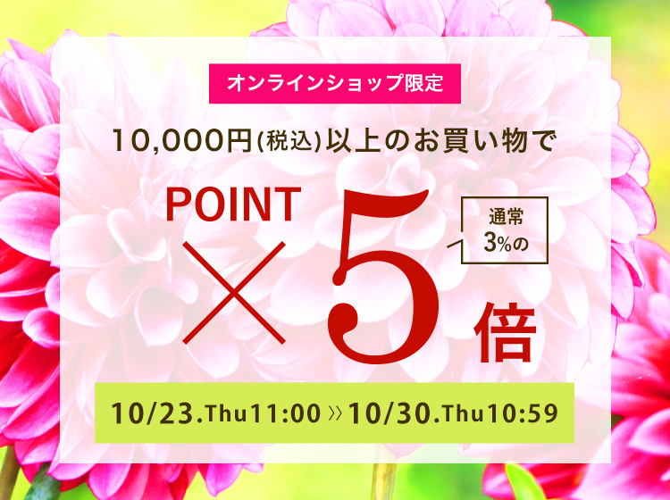 ポイント5倍