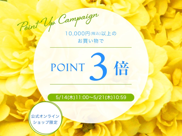 ポイント3倍