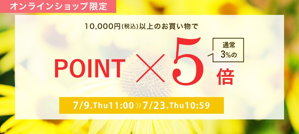 ポイント5倍