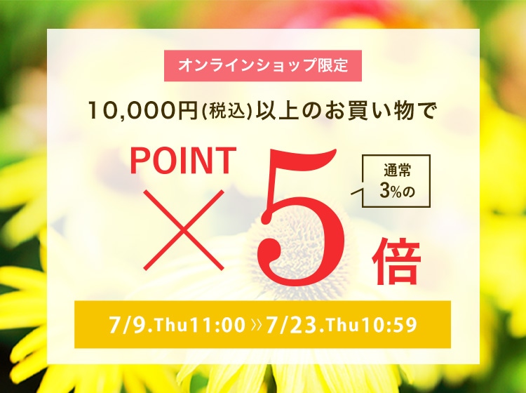 ポイント5倍